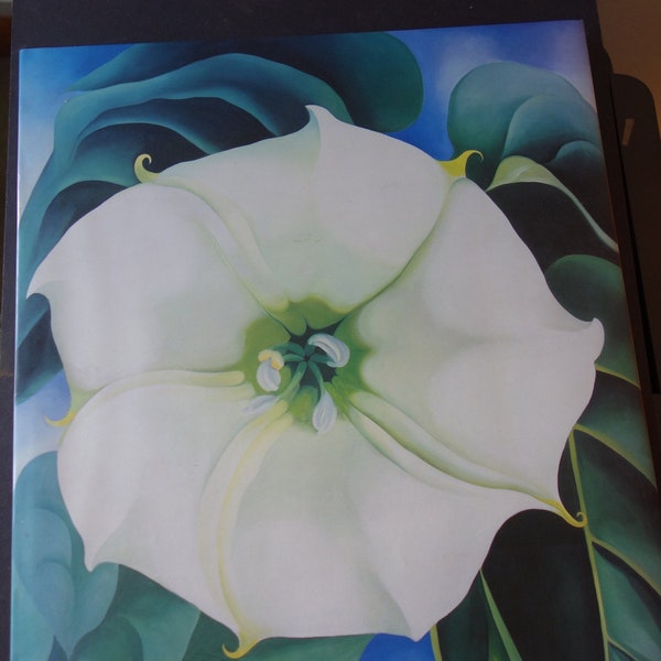 Georgia O'Keeffe One Hundred Flowers book 1987 First Edition Large Format Knopf American Painter Hardcover with Dust Jacket Presentation Box