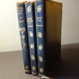 Classic Novels Small Leather bound books by WM Thackeray, George Eliot | Antique Books | Beautiful Illustrated | Great Gifts