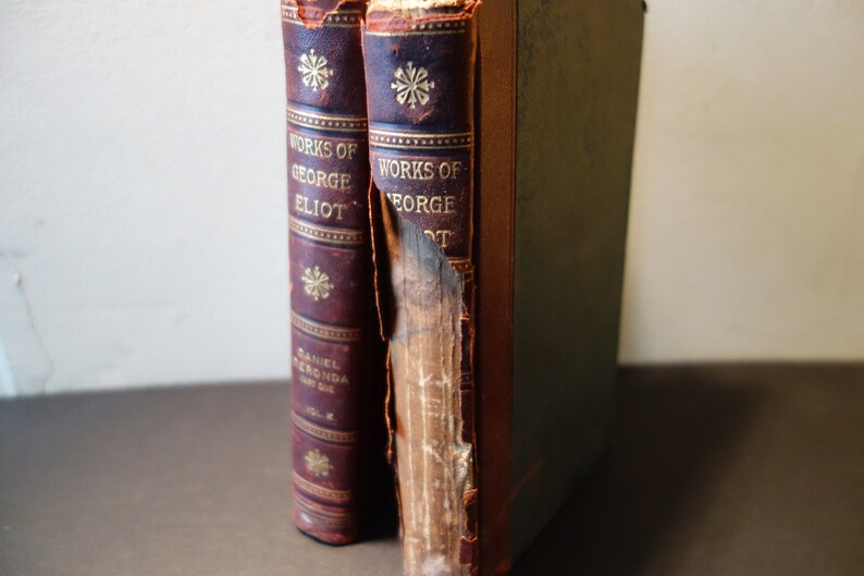 Daniel deronda essay picture