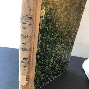 1926 Gabriel D&#39;Annunzio Biography by Francesco Flora Italian First edition Hardcover | Poet, Novelist and Royal Italian Army Officer
