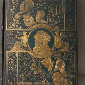 Charles Dickens Oliver Twist, David Copperfield - illustrated 1870 edition - Collectible Antique book. Great Gift for readers teachers
