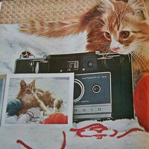 May include: A vintage Polaroid camera with a red button and the text "AUTOMATIC 100" and "ROID" on the front. A white and orange kitten is sitting on a white surface with a red ball of yarn and a red and white ball of yarn.