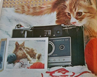 Kitten Plays with the Camera - 3 sizes to choose from - Framable print -1960s Polaroid ad gift for cat lovers - gift for polaroid buffs