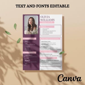 Currículo de irmandade, modelo com foto, linda irmandade rosa e granada, currículo de irmandade para mulheres editável no Canva, modelo de carta de apresentação