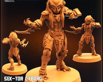 Sek-tor Cyborg Skull Hunter Outcast 32mm scale
