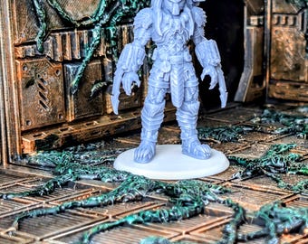 Chopper Skull Hunter 32mm scale