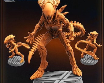 Xeno Praetorian L 32mm scale