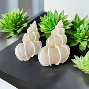 Set 2 White Seashell (40-60mm), Precious Wentletrap Seashell, Coastal Home decor, Seashell Artists, Shell Wedding Decor, Collector Seashell