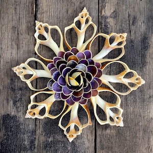 Shell Slices + Shell Flowers, Set 10 Cut shell + 1 Shell Flower beach wedding decor, Seashell Flowers decor, Home Coastal decor
