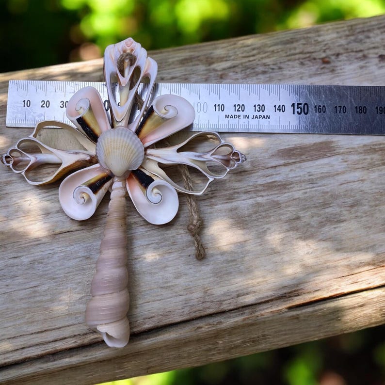 Seashell Cross, Small Seashell Cross, Natural Sea Shell Wall Hanging ...