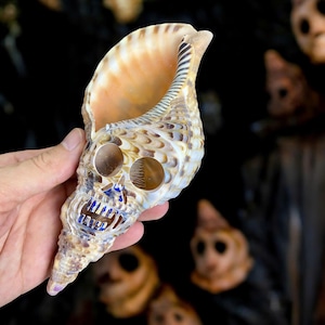 Seashell Skull Halloween home decor, Handmade Carved Skull, seashell ornament, Human skull decor, Halloween ornament