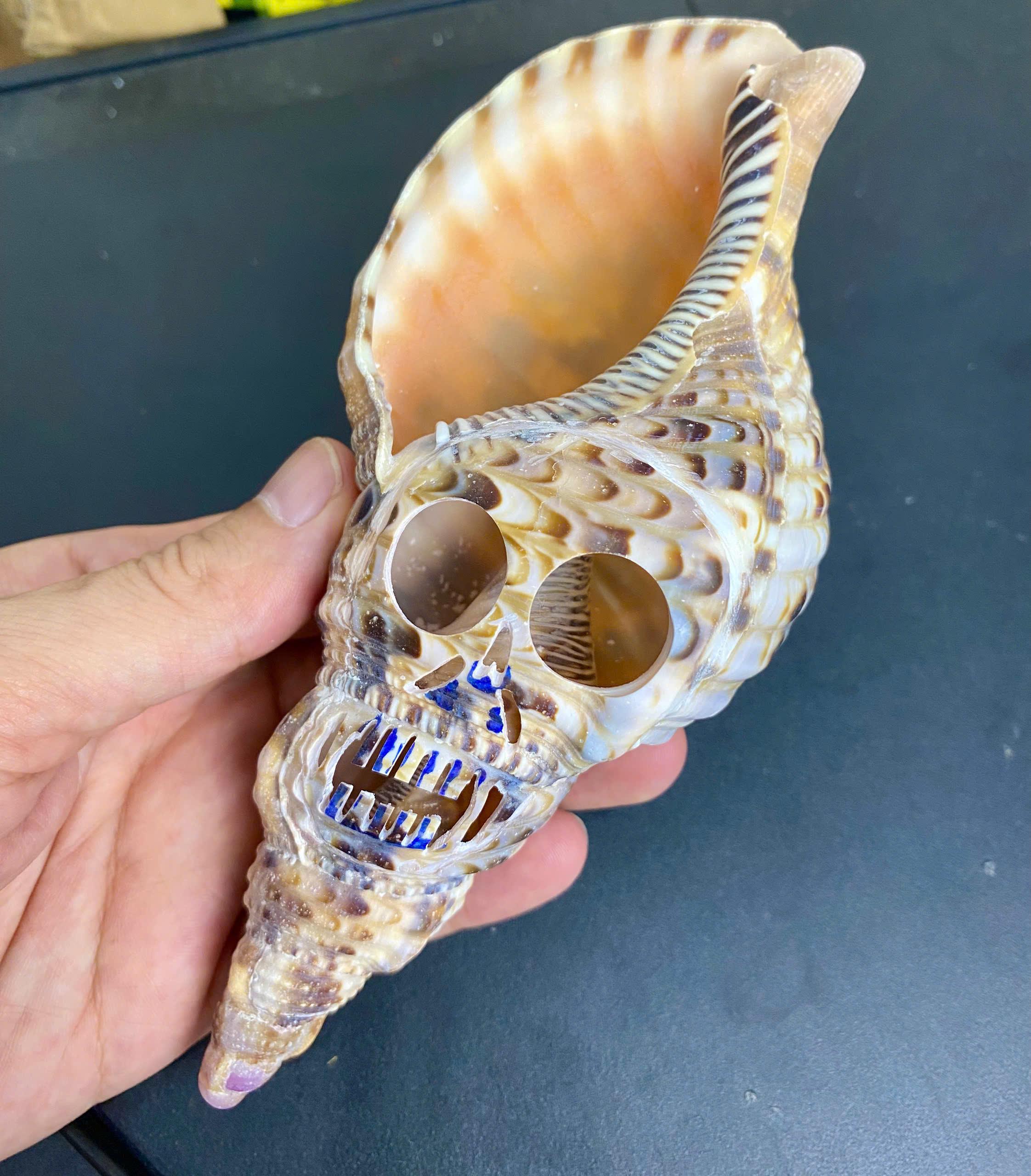 Seashell Skull Halloween Home Decor, Handmade Carved Skull