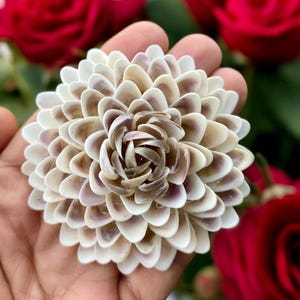 Handmade Seashell Flower: Nautical Beach Wedding Decor (60-80mm)