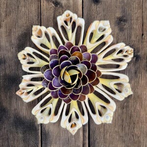 10 Sliced Shells + 1 Shell Flower Beach Wedding decor, Seashell Flowers decor, Seashell Snowflakes decor,  Seashell Supplies, Nautical decor