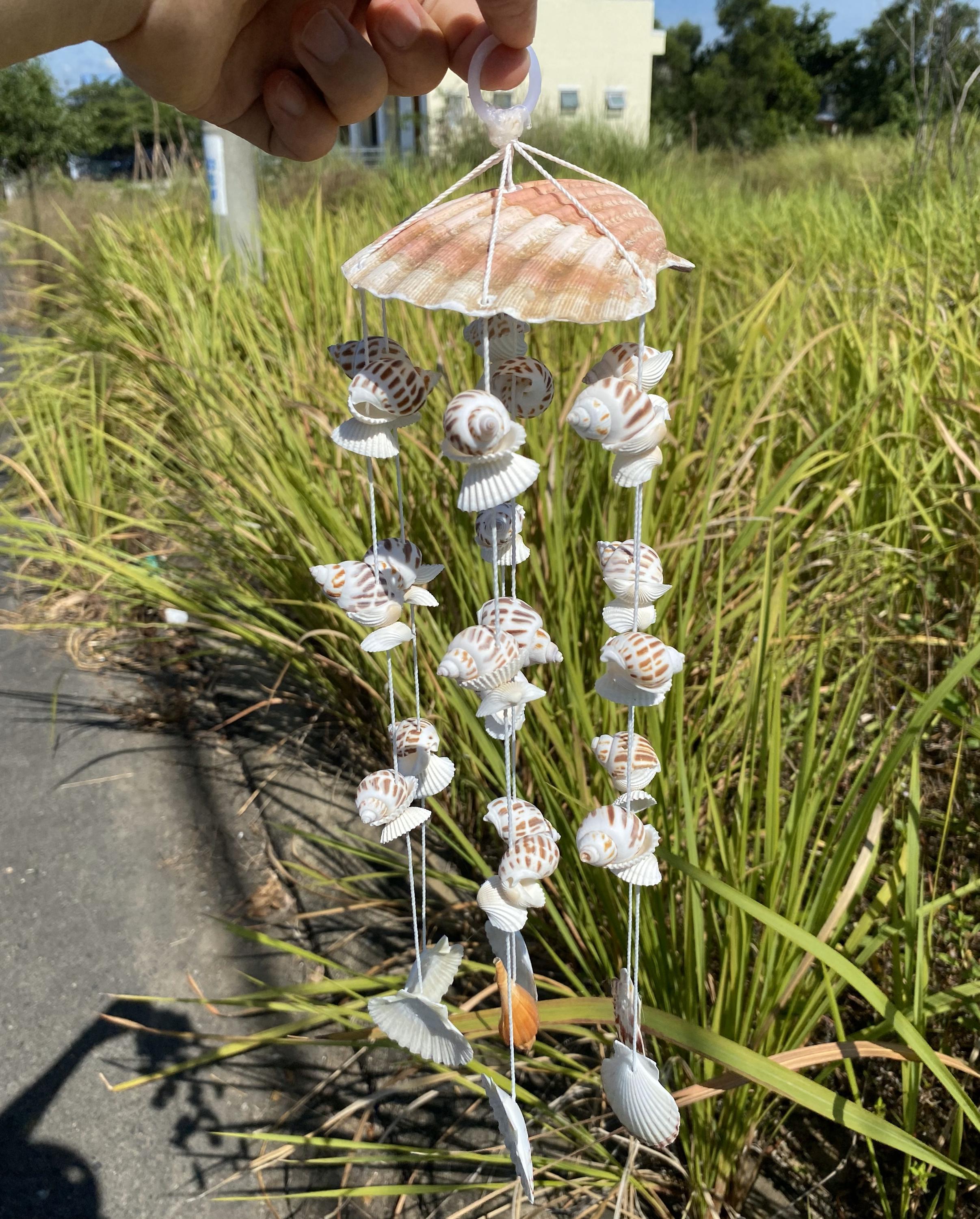 Natural Seashell Wind Chime: Coastal Beach Home Decor - Etsy