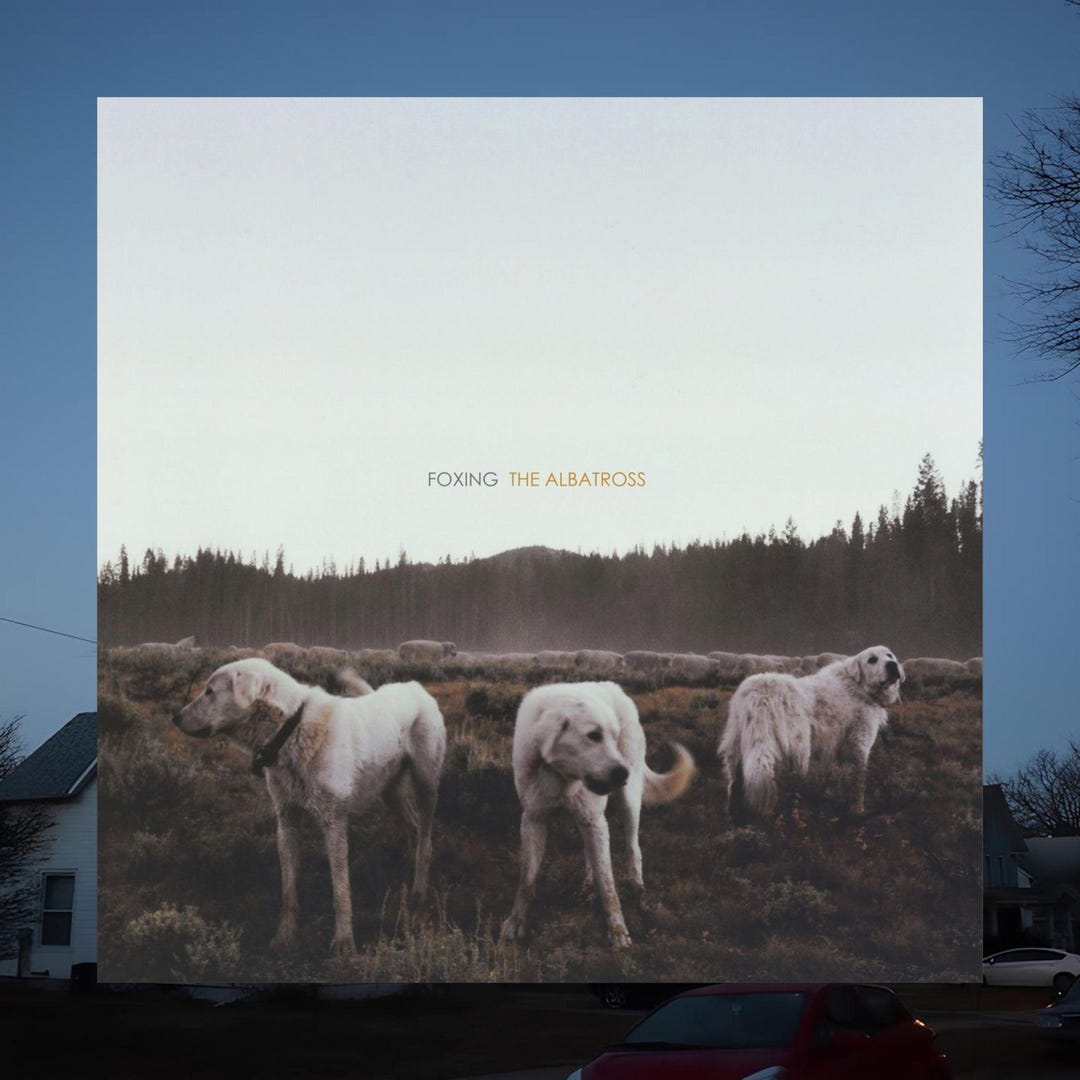 Foxing Emo Foxing - the Albatross Album Cover Poster, Midwest Emo Band, 2010s Emo ...