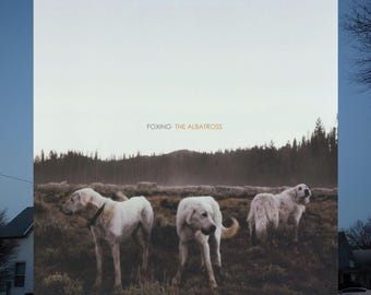 Foxing - The Albatross Album Cover Poster, Midwest Emo Band, 2010s Emo Revival Aesthetic Wall Art, Midwest Emo Matte Poster, Emo Room Decor