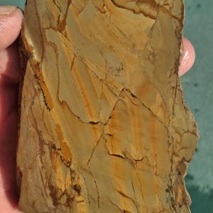 Owyhee Jasper Unique Colors Slab