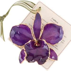 Lacquer & Gold Dipped Natural Fuchsia Cattleya Orchid Ornament Lacquer & Gold Dipped Natural Fuchsia Cattleya Orchid Ornament