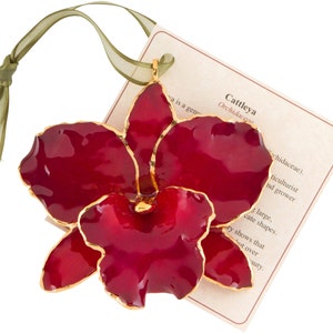 Lacquer & Gold Dipped Natural Fuchsia Cattleya Orchid Ornament Lacquer & Gold Dipped Natural Fuchsia Cattleya Orchid Ornament