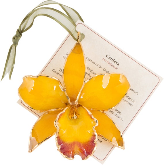 Lacquer & Gold Dipped Natural Fuchsia Cattleya Orchid Ornament Lacquer & Gold Dipped Natural Fuchsia Cattleya Orchid Ornament