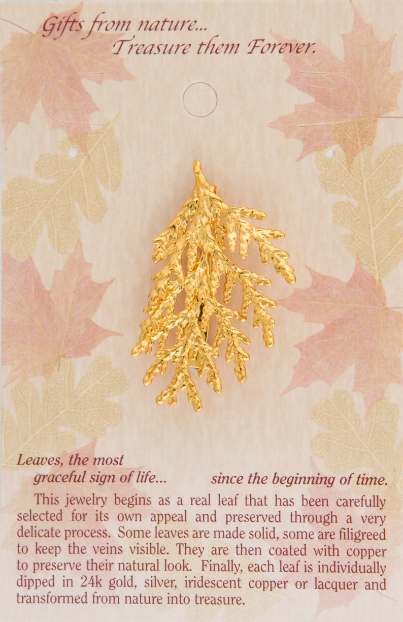 Carded Real Cypress Leaf Dipped In 24k Gold Pins Bar Pins Real Dipped Leaves Brooches