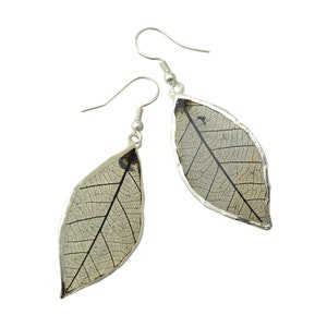 Rubber Tree Leaf Earrings with Silver French Hooks - Gift Boxed