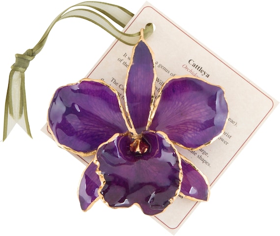 Lacquer & Gold Dipped Natural Fuchsia Cattleya Orchid Ornament Lacquer & Gold Dipped Natural Fuchsia Cattleya Orchid Ornament