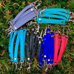 May include: Assortment of colorful, double-sided, silicone dog leash attachments with silver swivel clips. The leashes are in blue, red, black, and gray.