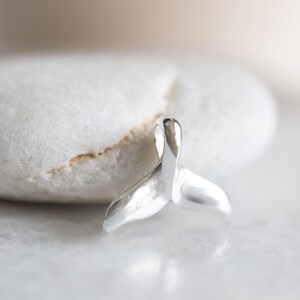 Pu&ograve; includere: Un piccolo ciondolo a forma di coda di balena in argento lucido. Il ciondolo &egrave; liscio e riflettente, con un design curvo. La coda &egrave; mostrata su uno sfondo sfocato e neutro, evidenziando la sua forma e lucentezza metallica. &Egrave; un gioiello.