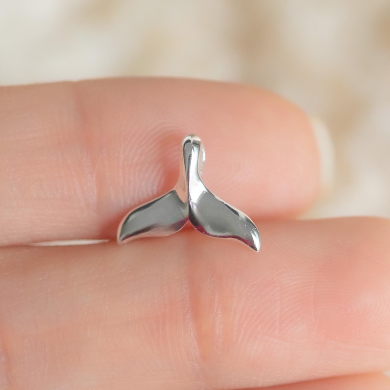 Pu&ograve; includere: Un piccolo ciondolo a forma di coda di balena in argento lucido. Il ciondolo &egrave; molto riflettente, con bordi lisci e curvi. La coda &egrave; in posizione simmetrica e verticale, suggerendo un pendente o un componente di gioielleria.