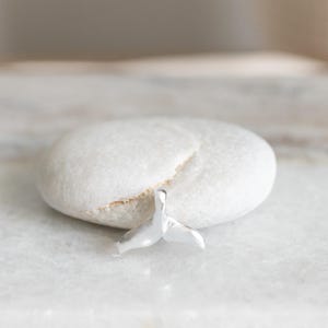 Pu&ograve; includere: Un piccolo ciondolo a forma di coda di balena argentata &egrave; appoggiato su una pietra bianca liscia. Il ciondolo &egrave; molto lucido, riflettendo la luce, ed &egrave; posto su uno sfondo neutro. Il gioiello &egrave; di design minimalista.