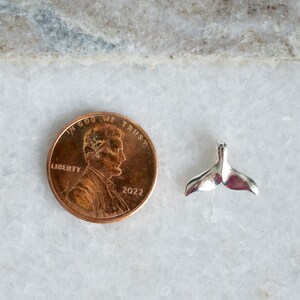 Pu&ograve; includere: Un piccolo ciondolo a forma di coda di balena argentata e lucida accanto a un centesimo americano. Il ciondolo &egrave; molto dettagliato e riflette la luce. Il centesimo mostra il profilo di Abraham Lincoln e l'anno 2022.