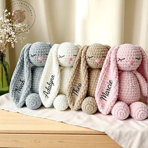 Aangepaste naam konijn pluche, handgemaakte gehaakte knuffelkonijn, gepersonaliseerd amigurumi-cadeau voor baby, kinderen of kinderkamer