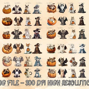 Vintage Halloween Cats Witches And Pumpkin Graphic, Ghost Cat Png, Halloween Ghost Png, Spooky Season Cat, Halloween Cats Png, Autumn Png
