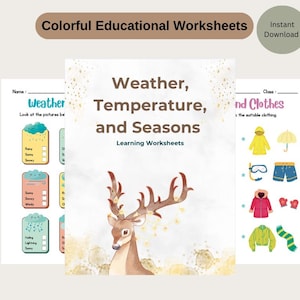 Hojas de trabajo de aprendizaje para jardín de infantes y preescolar, paquete de actividades de aprendizaje sobre el clima y las estaciones, conjunto educativo, libro de trabajo para niños pequeños