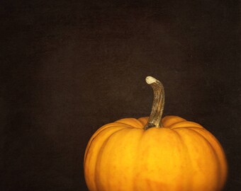 Thanksgiving Decor, Pumpkin Photograph, Nature Art