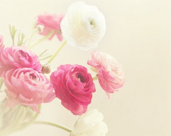 Ranunculus Flowers - Spring Photography - Nature Wall Art Prints - Pink, White, Blush - Floral Decor - Feminine Home - Botanical - Minimal