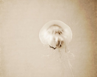 Jellyfish Photograph, sepia art print, neutral, nature photography, minimalist, ocean, water, natural curiosities, sea creature, ethereal