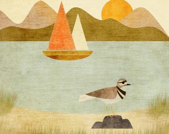 Killdeer Bird Illustration | Standing on a Rock on the Shore of a Lake | Nature Wildlife Art Print
