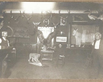 Original Real Photo Postcard - Early 1900s Interior of a Taxidermy Shop or Hunting Museum - Variety of Birds and Mammals - Uncirculated