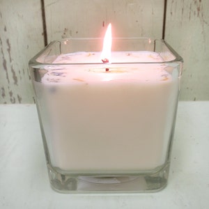 Crisp Apple Soy Candle 12 oz. Glass Cube Green Daffodil Fall Fragrance Cider Mill Bild 3