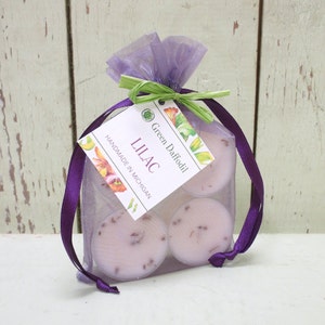 Lilac Soy Tealights 4 Pack - Green Daffodil - Handpoured - Siouxsan and Anne