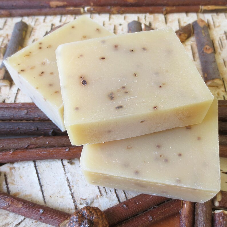 Pictured Rocks Campfire Bar of Soap Green Daffodil Campers Etsy