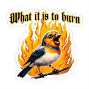 What It Is To Burn Emobandsticker, sticker vinkenband, sticker rockband, sticker voor oudere emo, sticker lied, oudere millennial, emocadeau