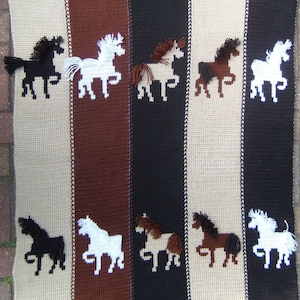 Coperta Pony Express modello per maglieria a mano PDF