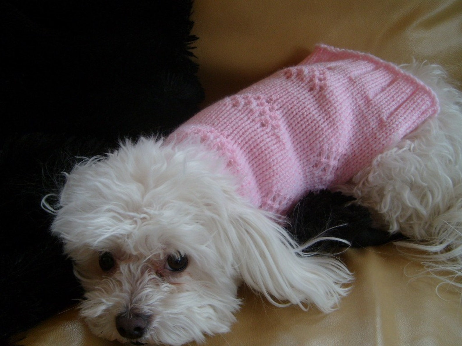 Dog Sweater Hand Knitting Pattern PDF Pink or Red Lacey Hearts Etsy