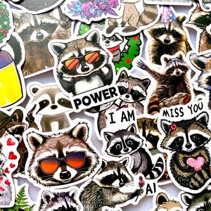 Könnte beinhalten: Eine Sammlung von Waschbär-Aufklebern mit verschiedenen Designs. Einige Waschbären tragen Sonnenbrillen, halten Blumen oder haben Texte wie "POWER" und "I AM". Die Aufkleber zeigen verschiedene Posen und Ausdrücke mit einer Mischung aus Farben und Stilen.