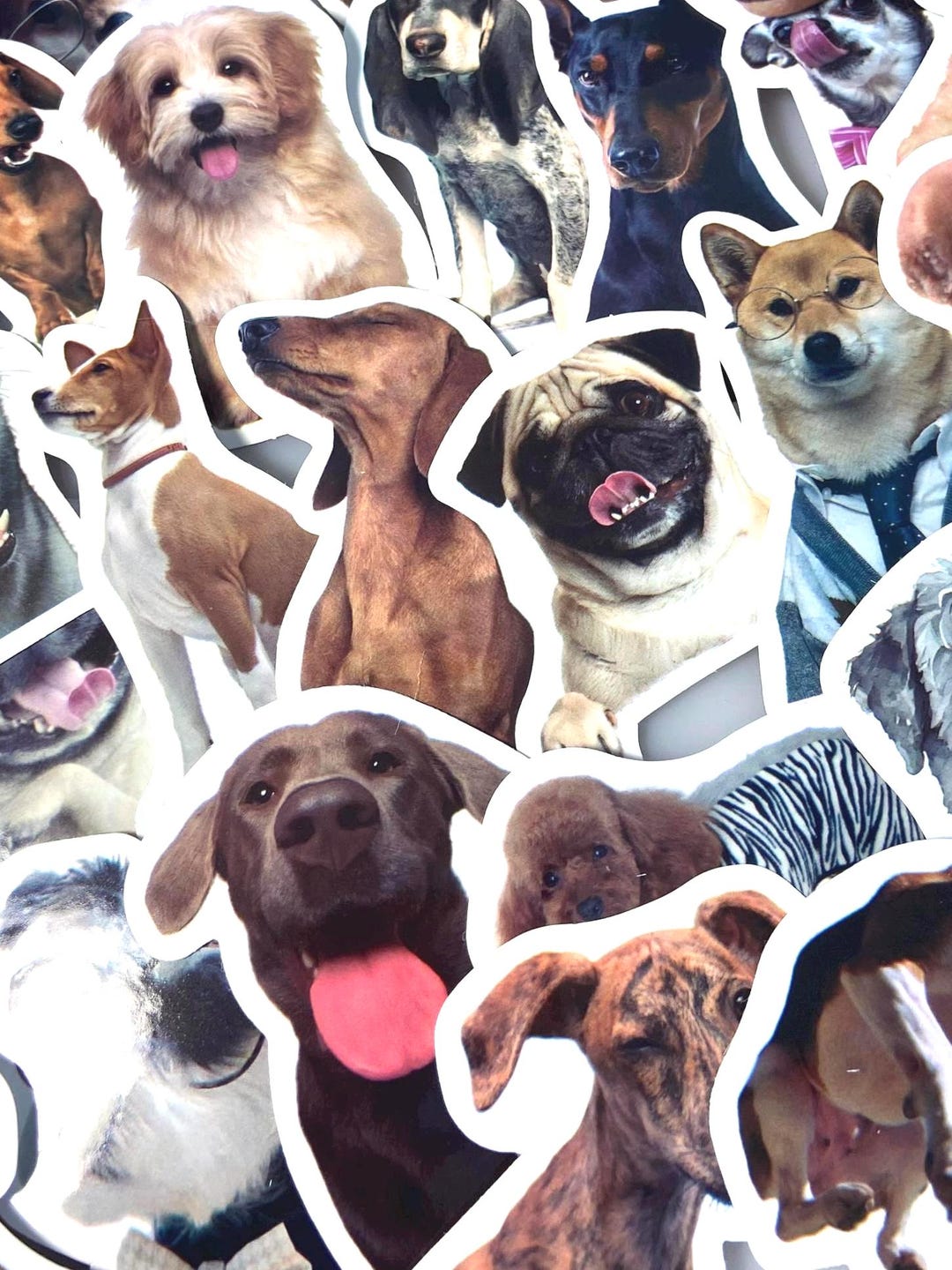 FUNNY DOG STICKER Pack Canine Love Stickers Cute Puppy Decals Water ...