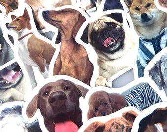 GRAPPIGE HOND STICKER Pack honden liefde stickers schattige puppy stickers waterfles stickers laptop Doggo sticker cadeau voor hond moeder vader hondenliefhebber cadeau